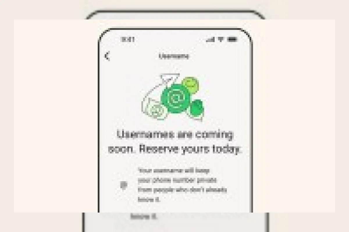 WhatsApp Tanggapi Perintah Pemerintah India untuk Tunda Fitur Nama Pengguna