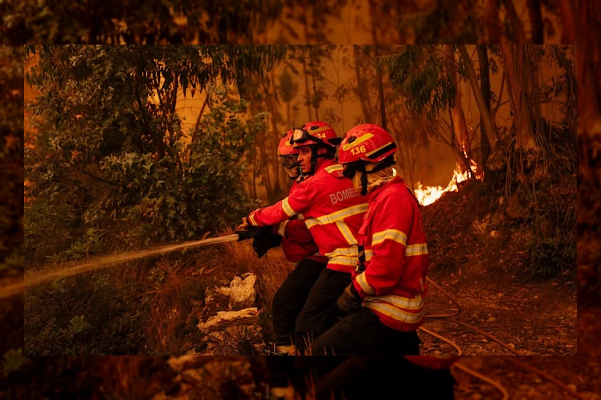 Eropa Siaga Kebakaran Hutan Imbas Gelombang Panas