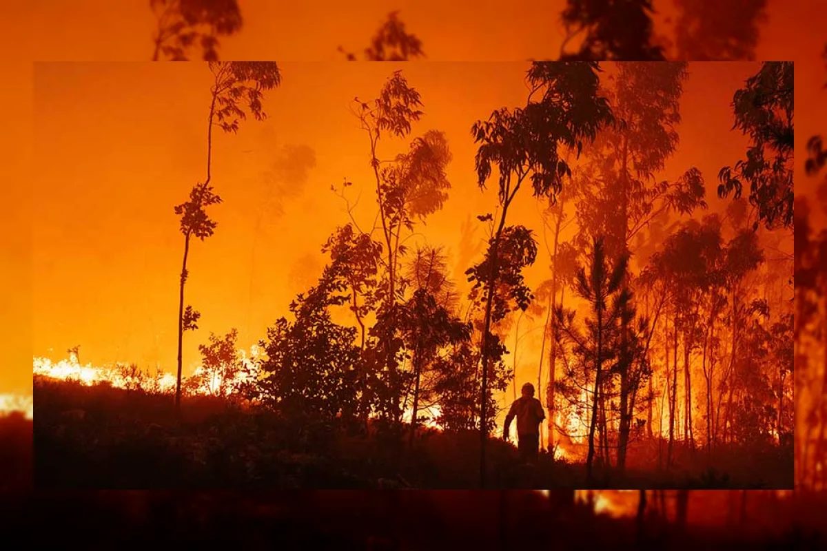 Gelombang Panas Landa Eropa Selatan, Ribuan Petugas Lawan Kebakaran Hutan