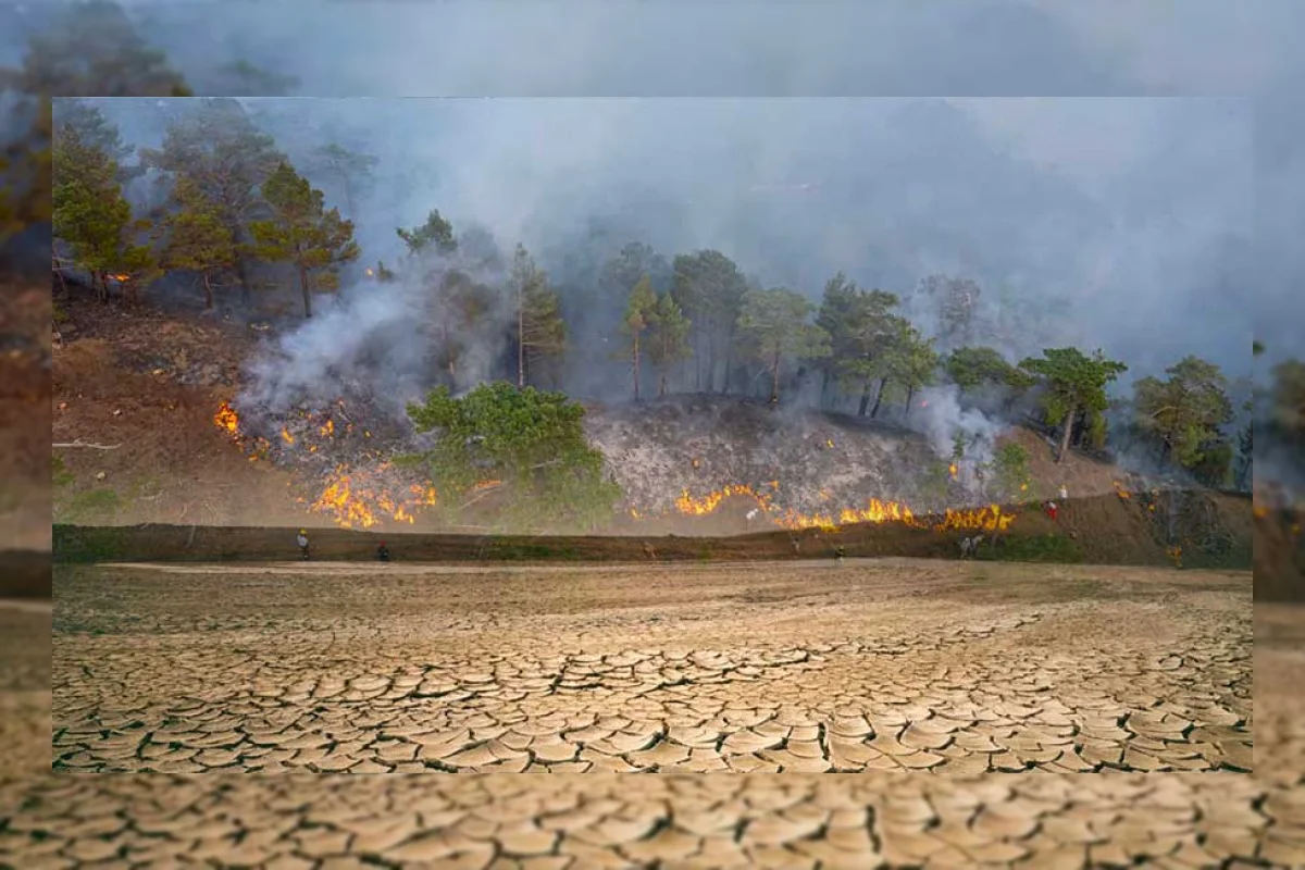 Kebakaran Hutan di Spanyol Tewaskan Sedikitnya 11 Orang