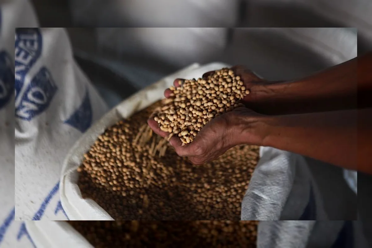 Produsen Tempe Akui Belum Nikmati Insentif Kedelai