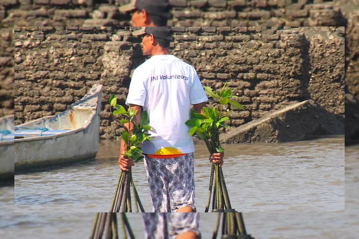 Rehabilitasi Mangrove BNI Perkuat Ekosistem dan Ekonomi Pesisir