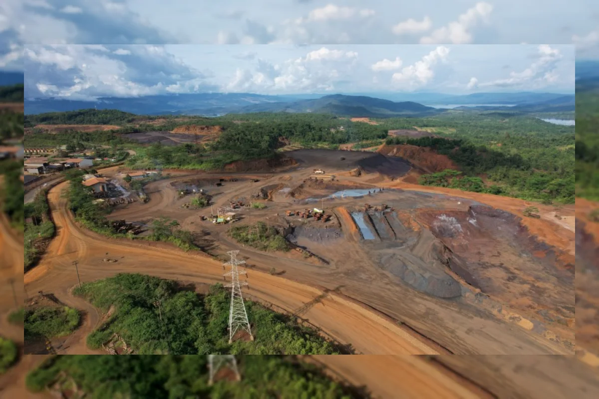 Blok Tanamalia Masuk Hutan Lindung, Bos Vale Buka Suara