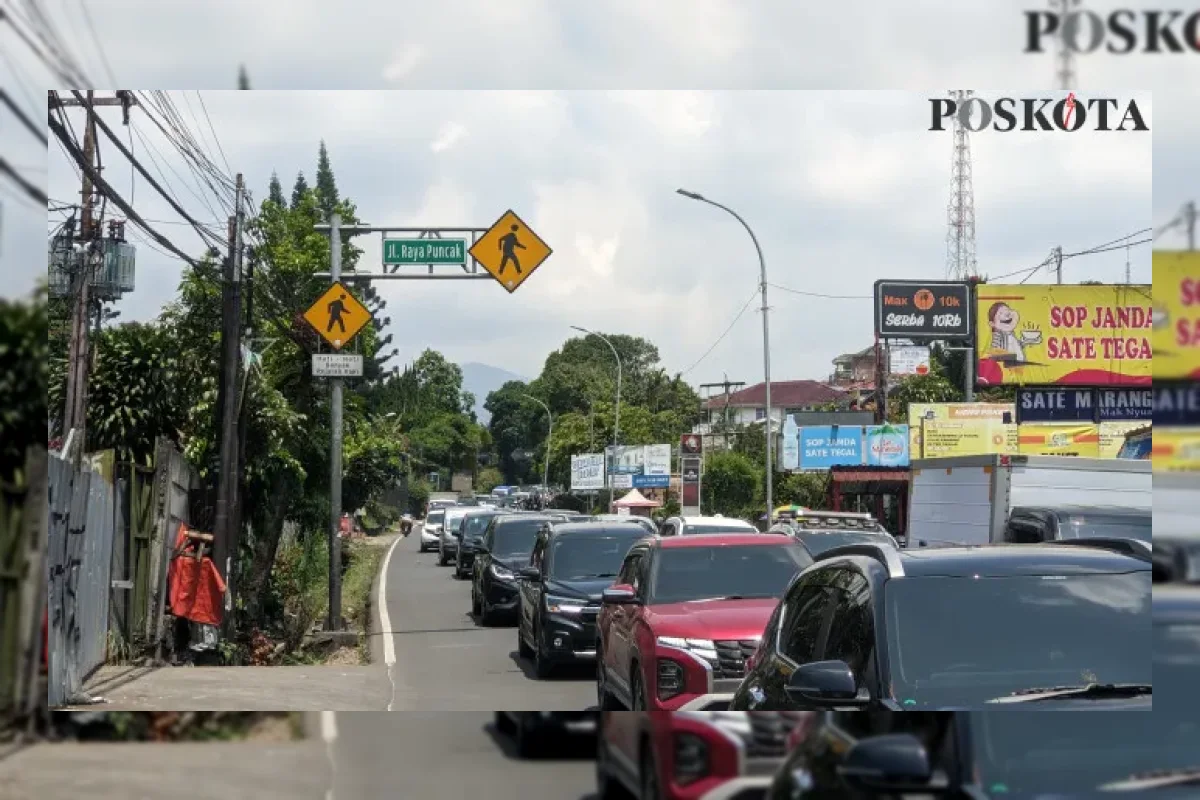 Hindari Macet di Puncak Bogor? Ini 6 Jalur Alternatif yang Bisa Anda Coba