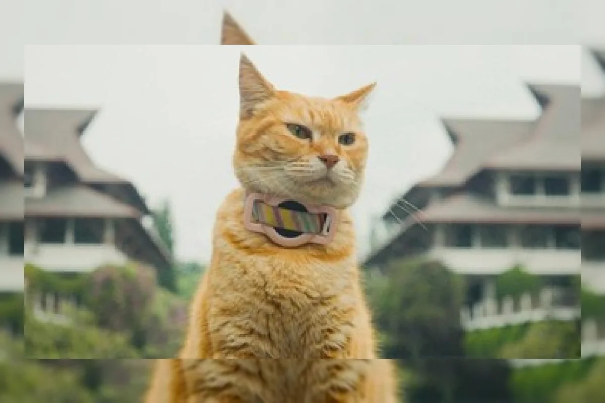 Ilustrasi kucing kampus yang menjadi pemeran film pendek Meong! karya LFM ITB