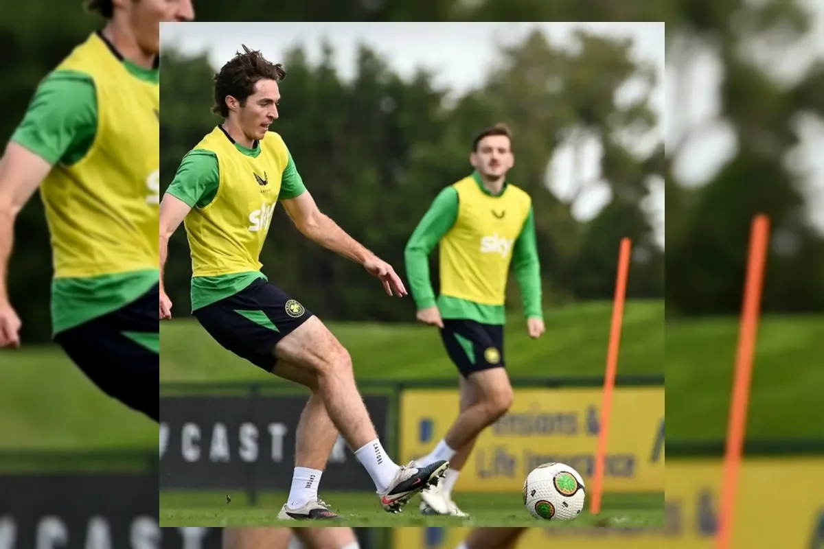 Pertandingan Austria melawan Republik Irlandia di Aviva Stadium Dublin