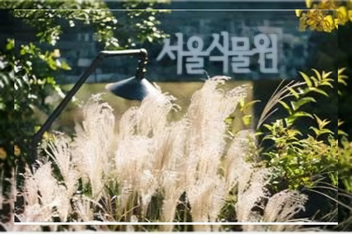 Hamparan rumput Pampas dan bunga musim gugur di Theme Garden Seoul Botanic Park