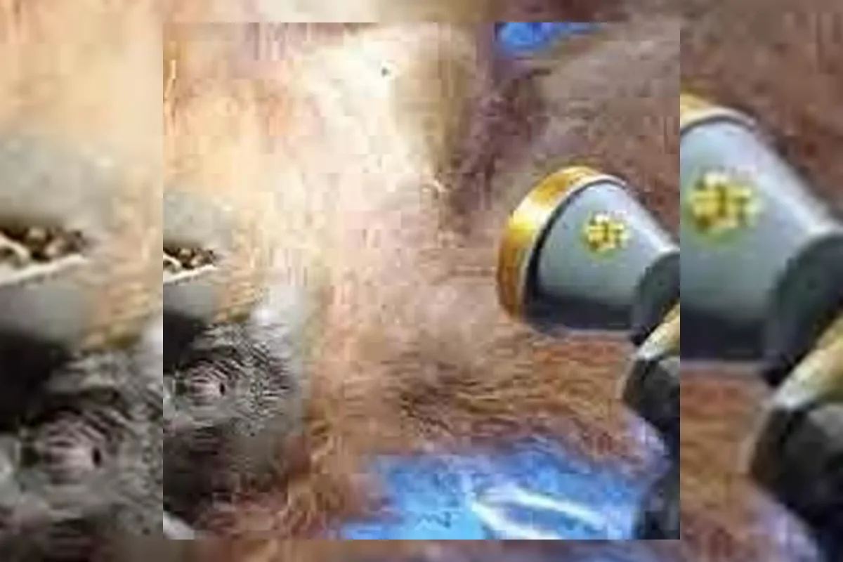 Ilustrasi orang utan di kawasan hutan bekas kebakaran