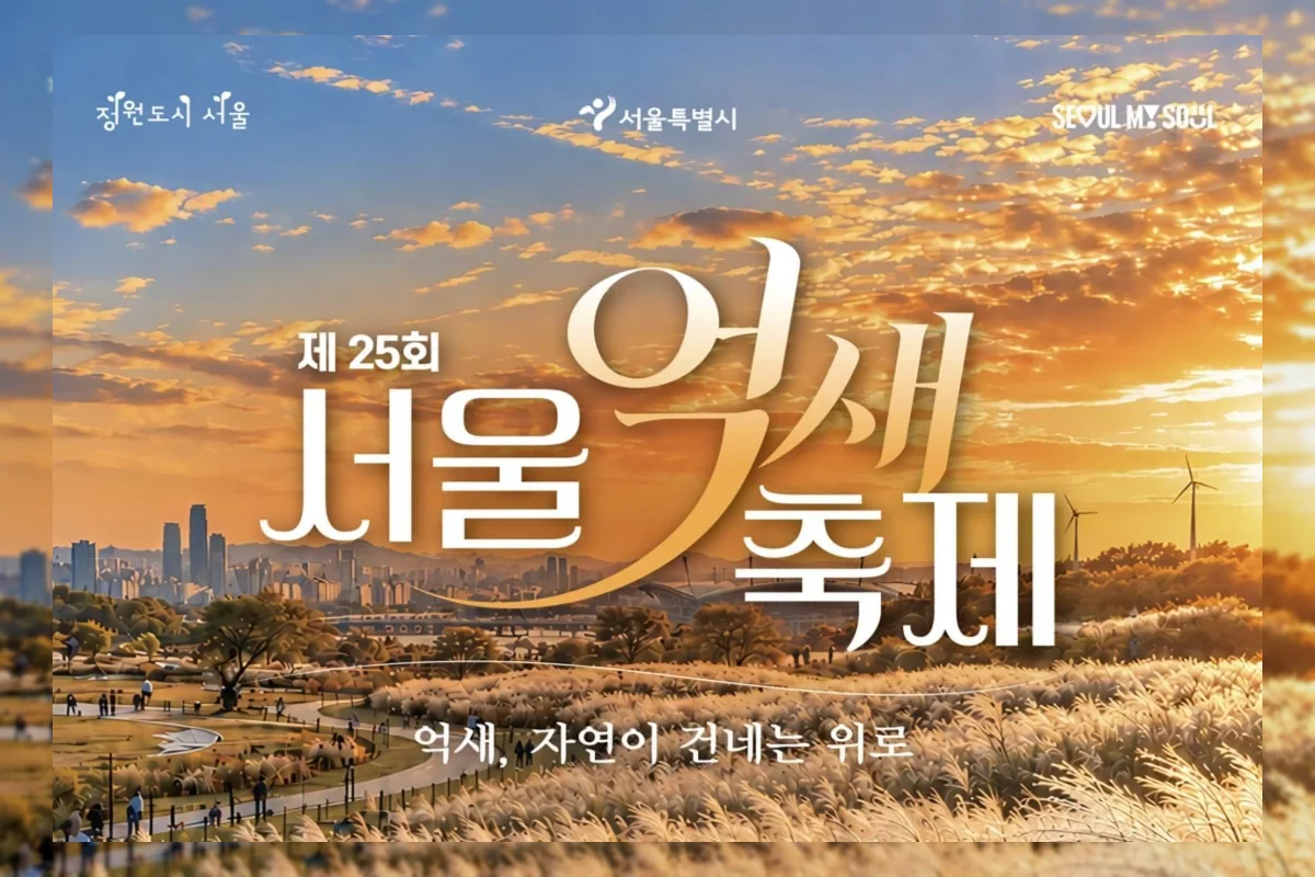 Hamparan silver grass di Haneul Park Seoul saat festival musim gugur