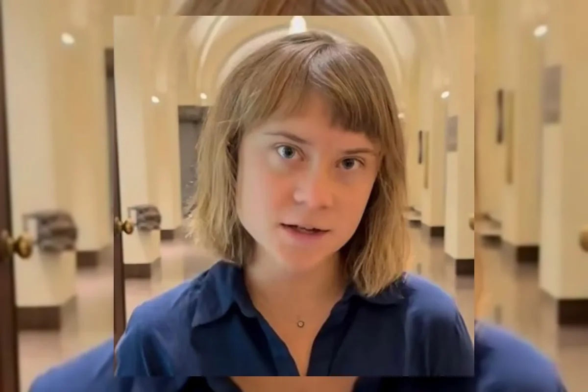 Ilustrasi kebakaran hutan dan lahan di Kalimantan yang disoroti Greta Thunberg
