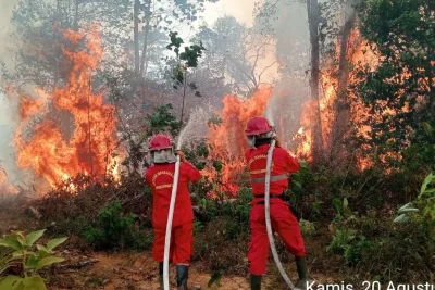 PT Hutan Lestari Raya Produksi Apa dan Punya Siapa? Ini Profil Perusahaannya