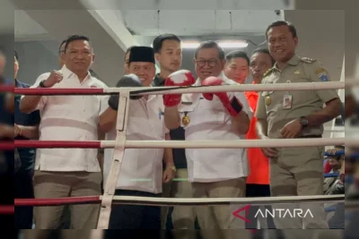 Ring Tinju di Kolong Flyover Pasar Rebo Diresmikan, Efektif Cegah Tawuran