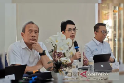 Pemerintah Perluas Uji Coba Perlinsos Digital ke 42 Kabupaten/Kota