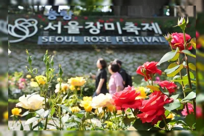 Festival Mawar di Korea Selatan, Mana yang Paling Menarik?