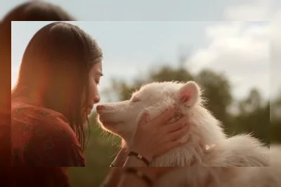Review Film: Gohan, Kisah Anjing yang Menyentuh Relung Hati