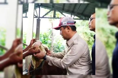 SIG Salurkan 292 Hewan Kurban ke 19 Provinsi untuk Iduladha 1447 H