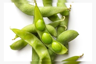 Camilan Sehat untuk Kontrol Kalori saat Diet