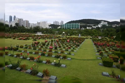 Busan: Jejak Hidup Hubungan Dunia Saat Perang Korea