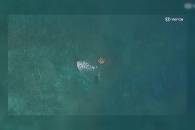 Struktur Misterius di Scarborough Shoal Muncul dan Hilang, Filipina Selidiki