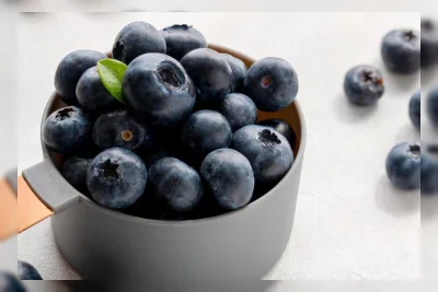 Keunggulan Nutrisi Tak Terduga dari Blueberry Beku