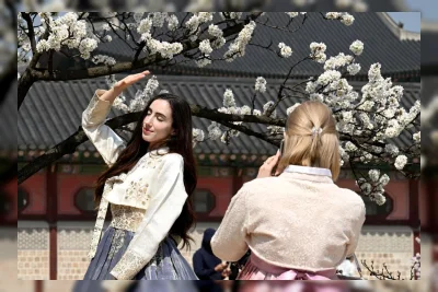Dampak Kebijakan Hanbok terhadap Pengalaman Wisata di Istana Korea