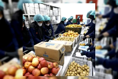 Pemerintah Pastikan Program Makan Bergizi Gratis Tetap Berlanjut