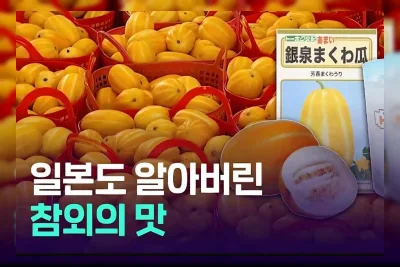 Bolehkah Makan Biji Melon? BPOM Korea Bantah Mitos Umum