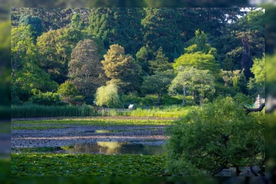Malam Mistis di Arboretum Tepi Laut Korea yang Dibangun Mantan Perwira Intelijen AS