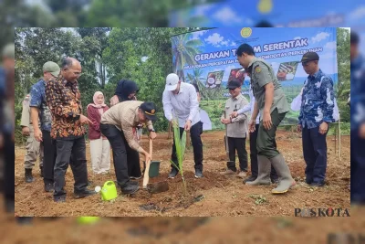 Dirjen Perkebunan Tanam Bibit Kelapa di Pandeglang, Perkuat Hilirisasi