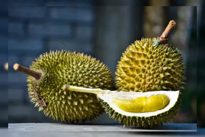 Durian Setara Semangkuk Nasi? Ini Fakta Kalori, Dampak Gula Darah, dan Cara Aman Konsumsi