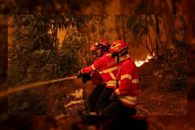 Eropa Siaga Kebakaran Hutan Imbas Gelombang Panas