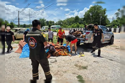 Anak 11 Tahun Tabrak Pendeta Buddha di Thailand, 10 Tewas