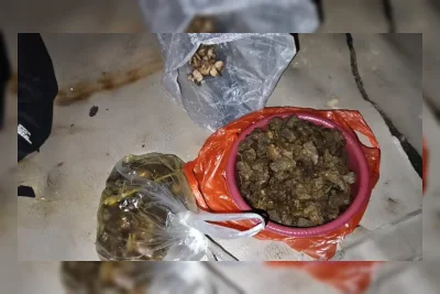Empat Pembunuh Tapir di Mesuji Ditangkap, Dua Pelaku Masih Buron