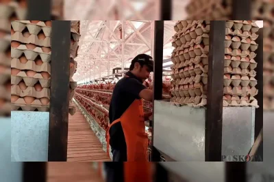 Lapas Terbuka Ciangir Tangerang Latih 50 Warga Binaan Jadi Petani dan Peternak