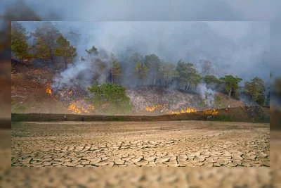 Kebakaran Hutan di Spanyol Tewaskan Sedikitnya 11 Orang