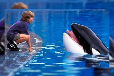 Film Free Willy Dapat Reboot, Digarap Rumah Produksi Russo Brothers
