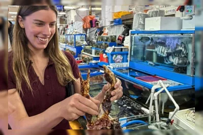 Wisatawan Mewah Lebih Tertarik ke Pasar Ikan Noryangjin daripada Restoran Mewah