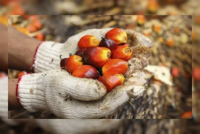 BPDP Dorong Hilirisasi Sawit Non-Biodiesel: Oleokimia dan Bioplastik