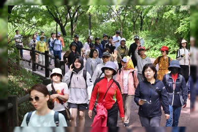 Seoul Rekomendasikan 5 Jalur Hutan Seoul Trail untuk Musim Panas