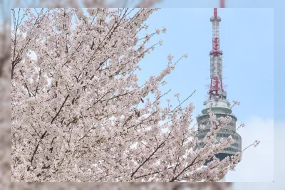 Wisatawan Asing Mulai Beralih ke Gunung dan Lokasi Syuting di Seoul