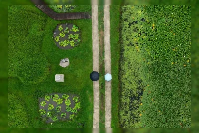 Chollipo Arboretum: Kebun Raya Pertama di Korea yang Membiarkan Tumbuhan Tumbuh Alami