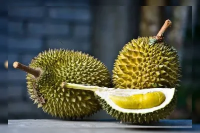 Cara Memilih Durian yang Bagus agar Daging Buah Manis dan Berkualitas