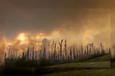 Kebakaran Hutan Yunani Mendekati Athena, Warga Dievakuasi