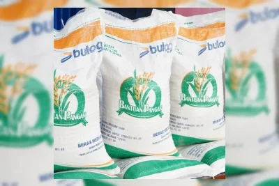 Bapanas Tugaskan Bulog Salurkan Bantuan Beras Tahap Dua untuk 33,24 Juta Penerima