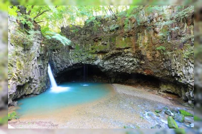 7 Taman Alam di Gyeonggi untuk Liburan Musim Panas Dekat Seoul
