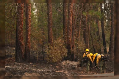 Polisi Tangkap Tersangka Pembakaran dalam Kebakaran Hutan Spokane