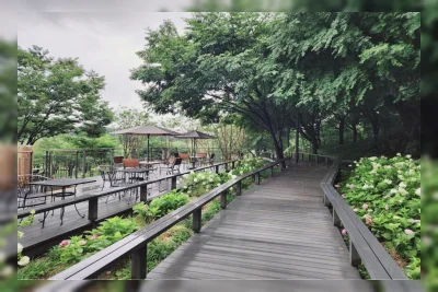 Hutan Impian Seoul Resmikan Jembatan Kanopi dan Teras Kafe Baru