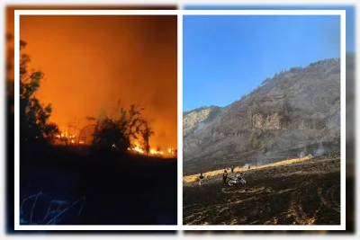 Dugaan Pemicu Kebakaran di Gunung Bromo dan Kondisi Terkini