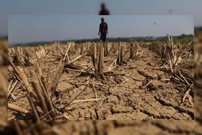 Stimulus Air Bersih dan Pompanisasi Kunci Atasi El Nino