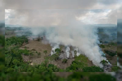 Deforestasi Amazon Turun Drastis, Terendah Sejak 1988